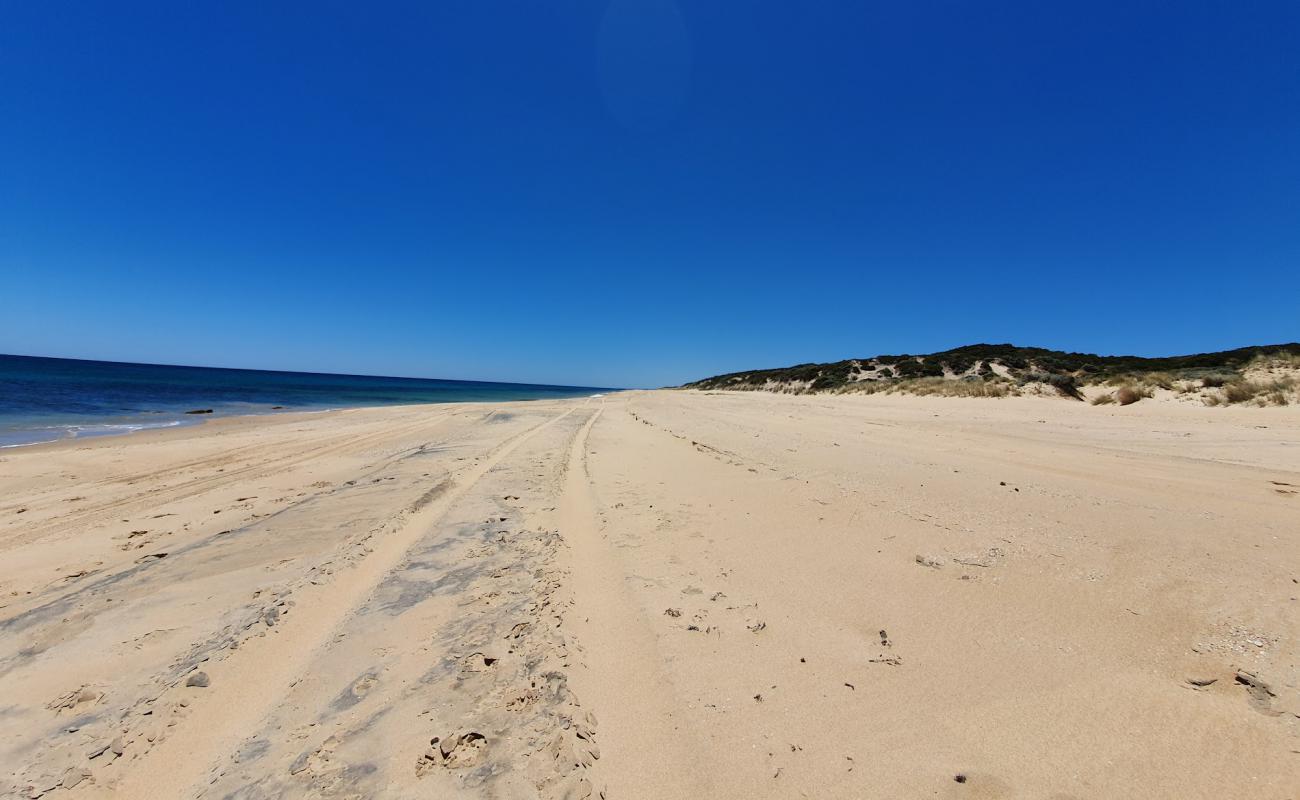 Foto de Buffalo Beach con arena brillante superficie