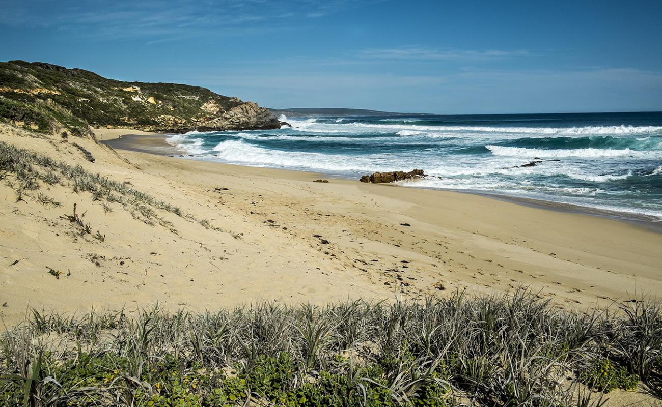 Foto de Honeycombs Beach con arena brillante superficie