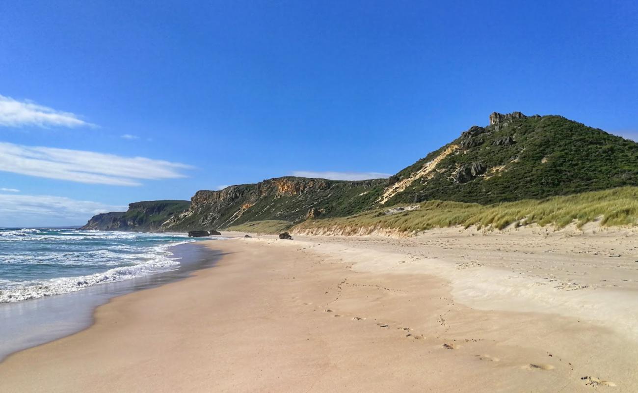 Foto de Salmon Beach con arena brillante superficie