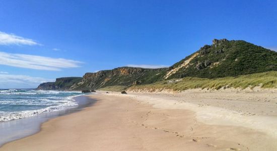 Salmon Beach