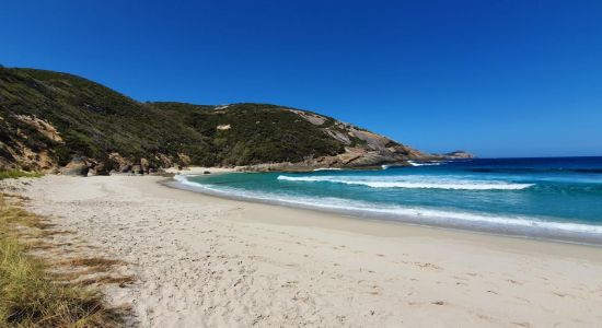 Salmon Beach