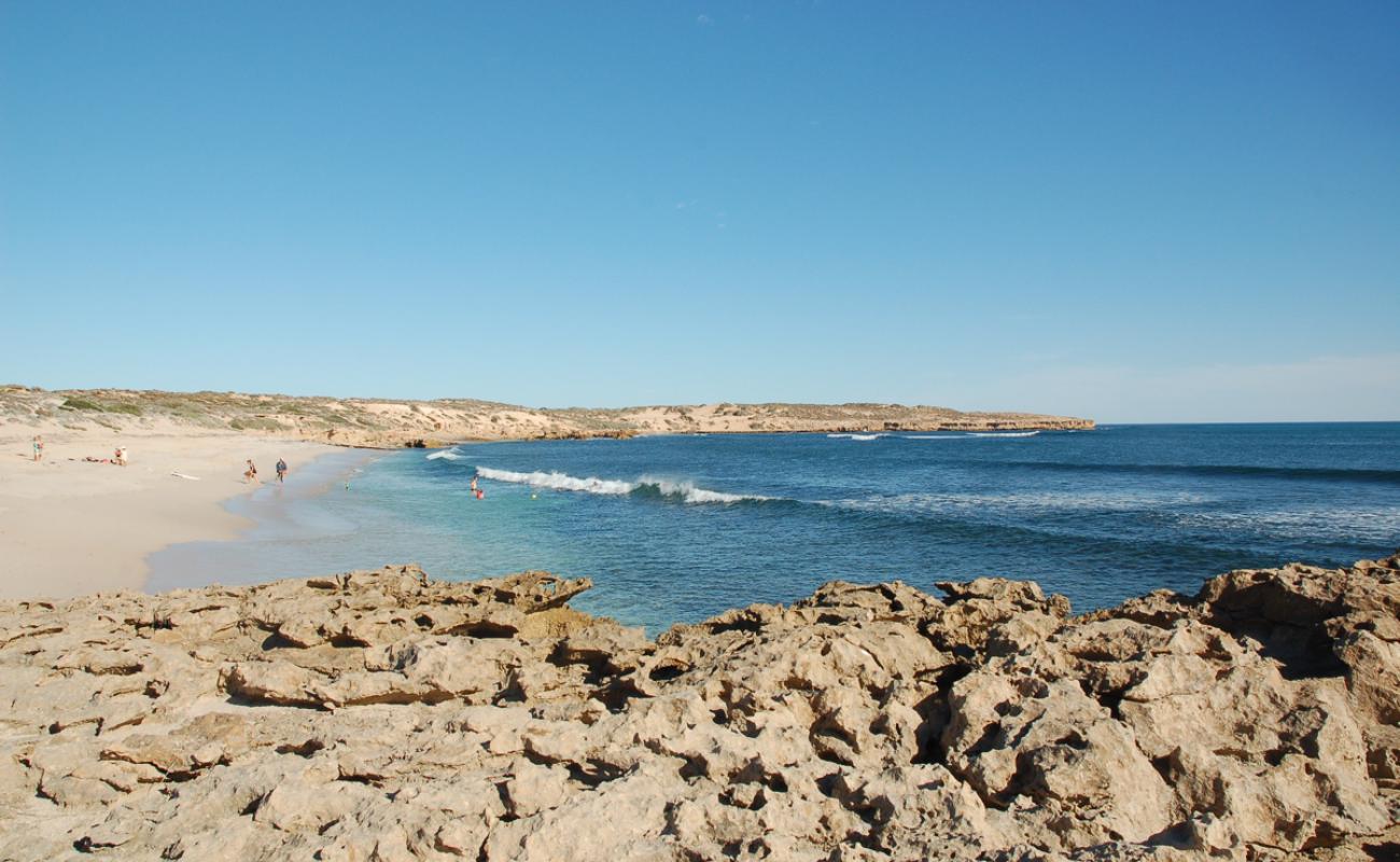 Foto de Cactus Beach con arena brillante superficie