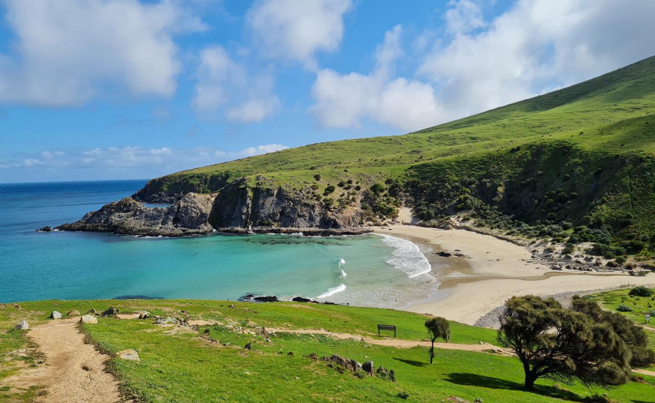 Foto de Blowhole Beach con arena brillante superficie