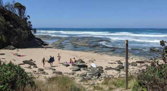 Shelly Beach, Apollo