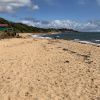 Leash Free Beach