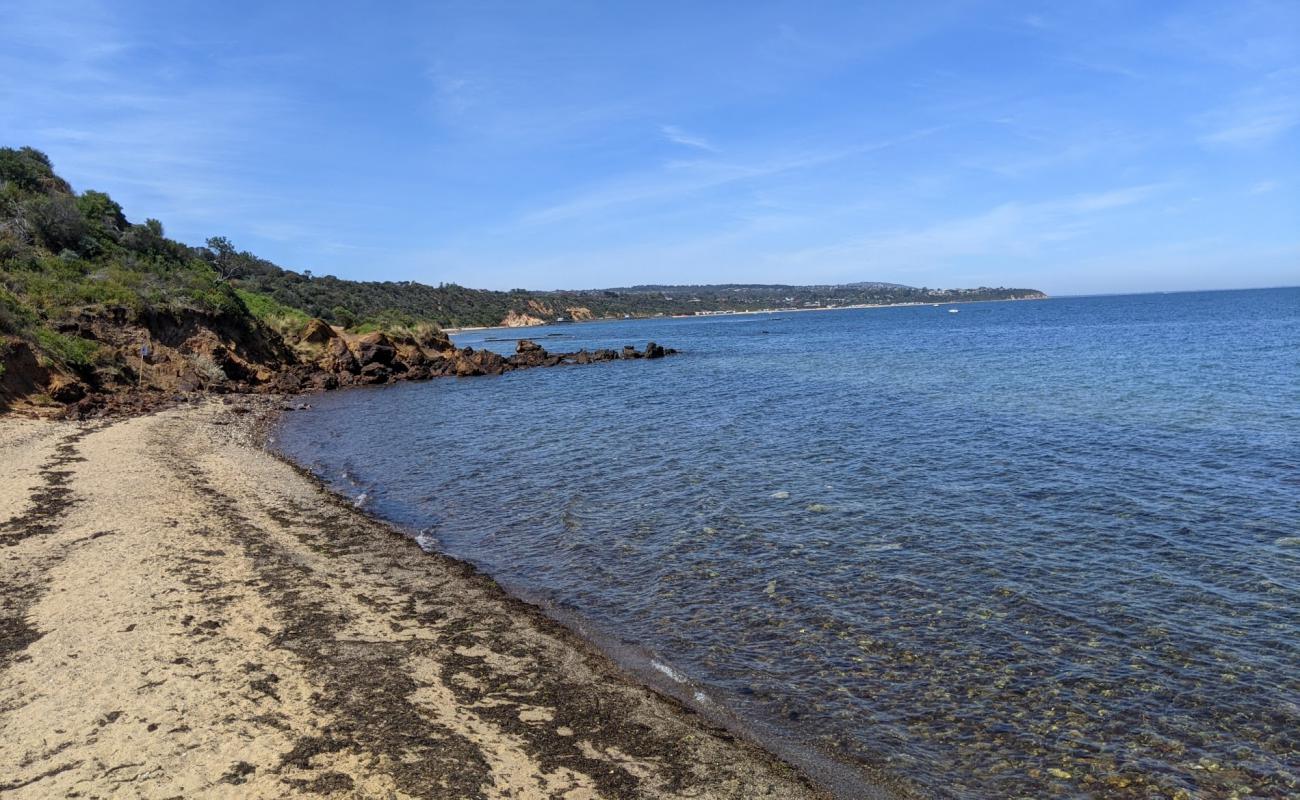 Foto de Fosters Beach con arena gris y piedras superficie