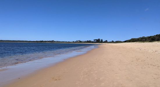 Cape Woolamai Beach