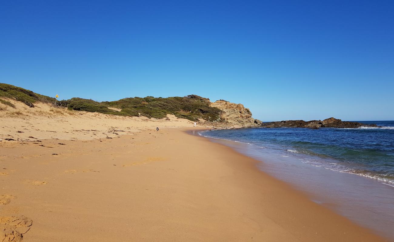 Foto de Shelley Beach con arena brillante superficie