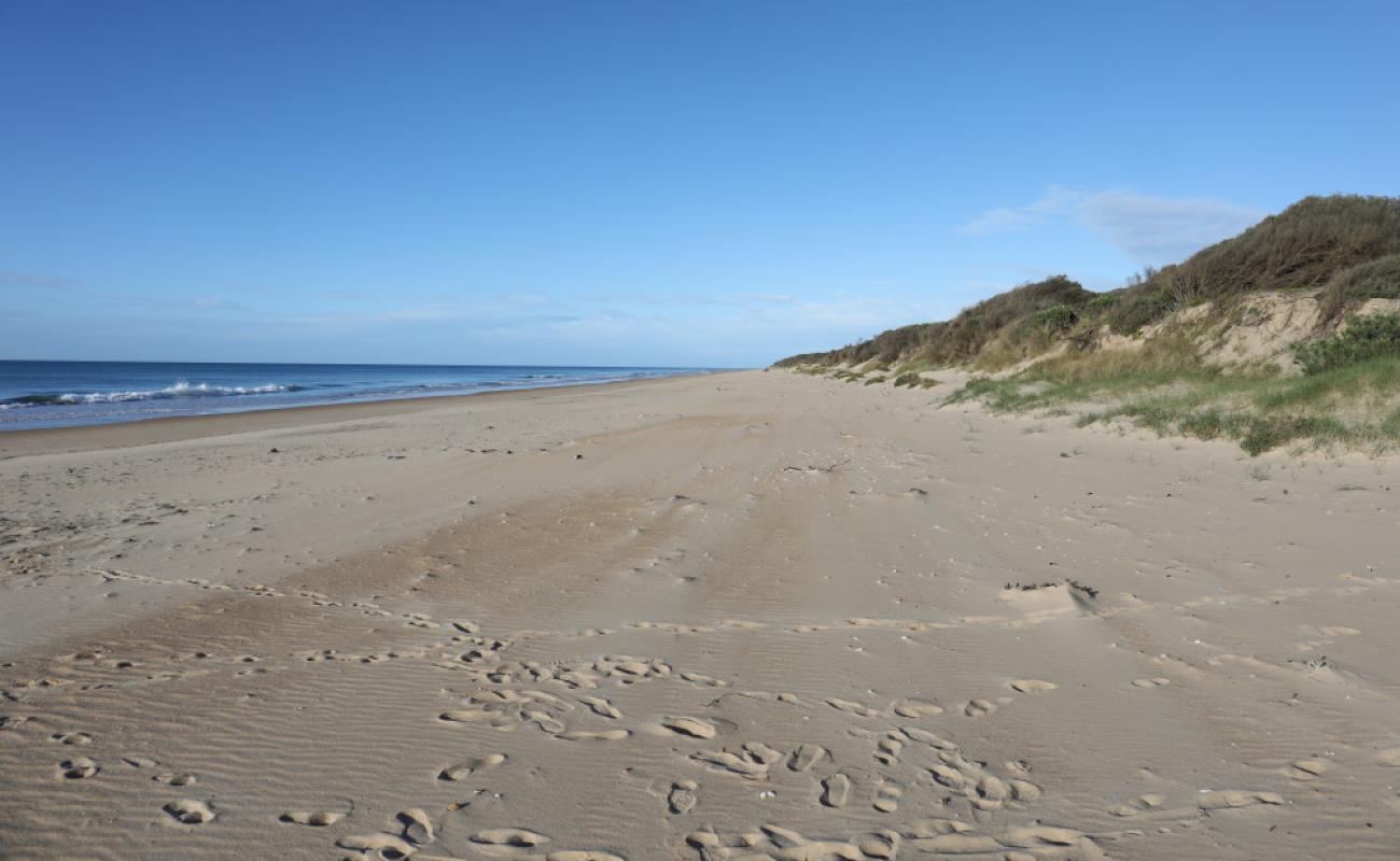 Foto de Cape Liptrap Beach con arena brillante superficie