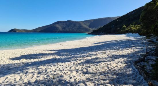 Little Waterloo Bay Beach