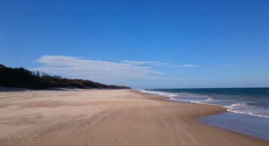 Mcloughlins Beach