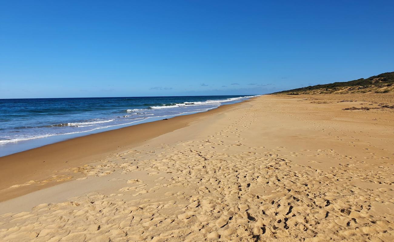 Foto de Ninety Mile Beach con brillante arena fina superficie