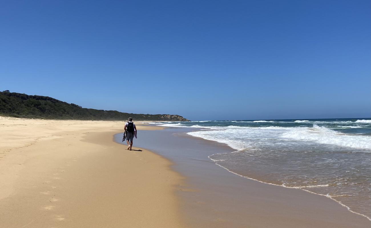 Foto de Shelly Beach con brillante arena fina superficie