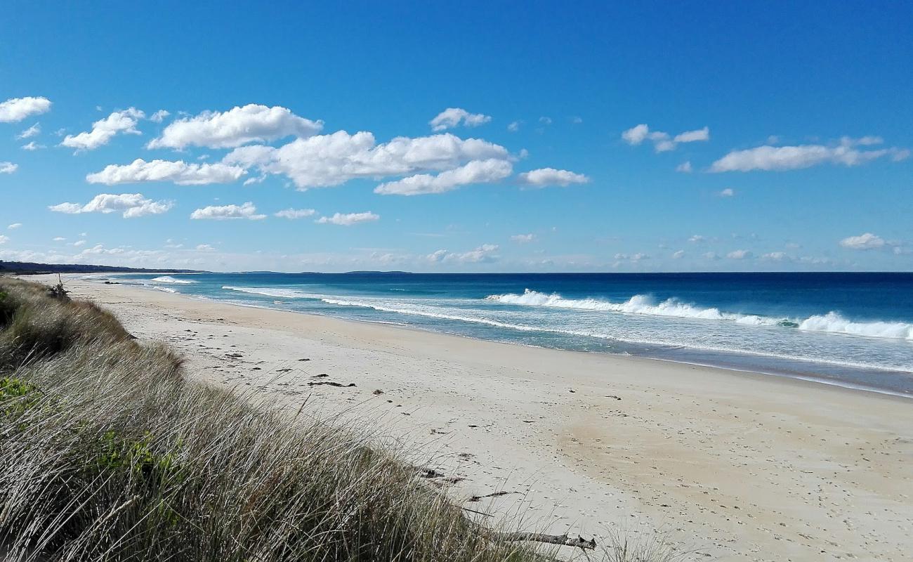 Foto de Steels Beach con arena brillante superficie