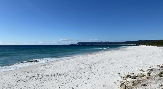 Friendly Beach