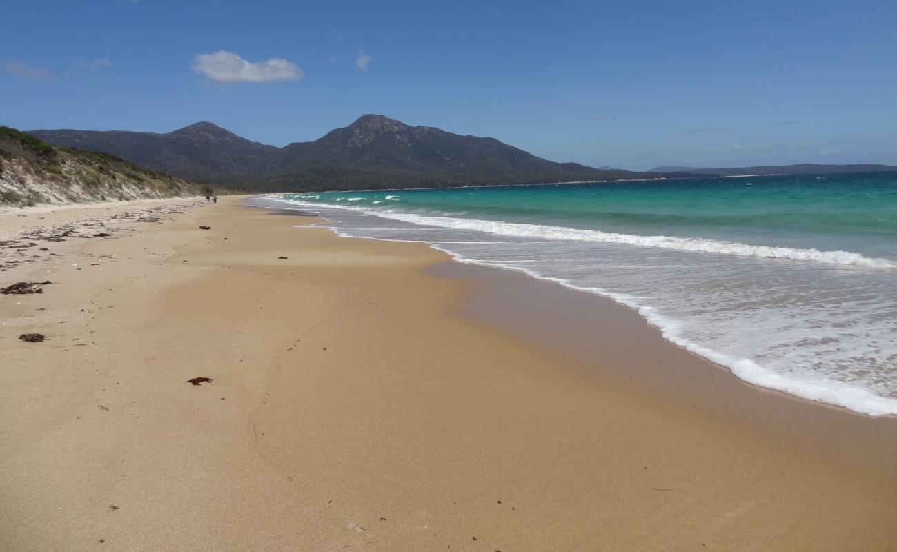 Foto de Cooks Beach con arena brillante y rocas superficie