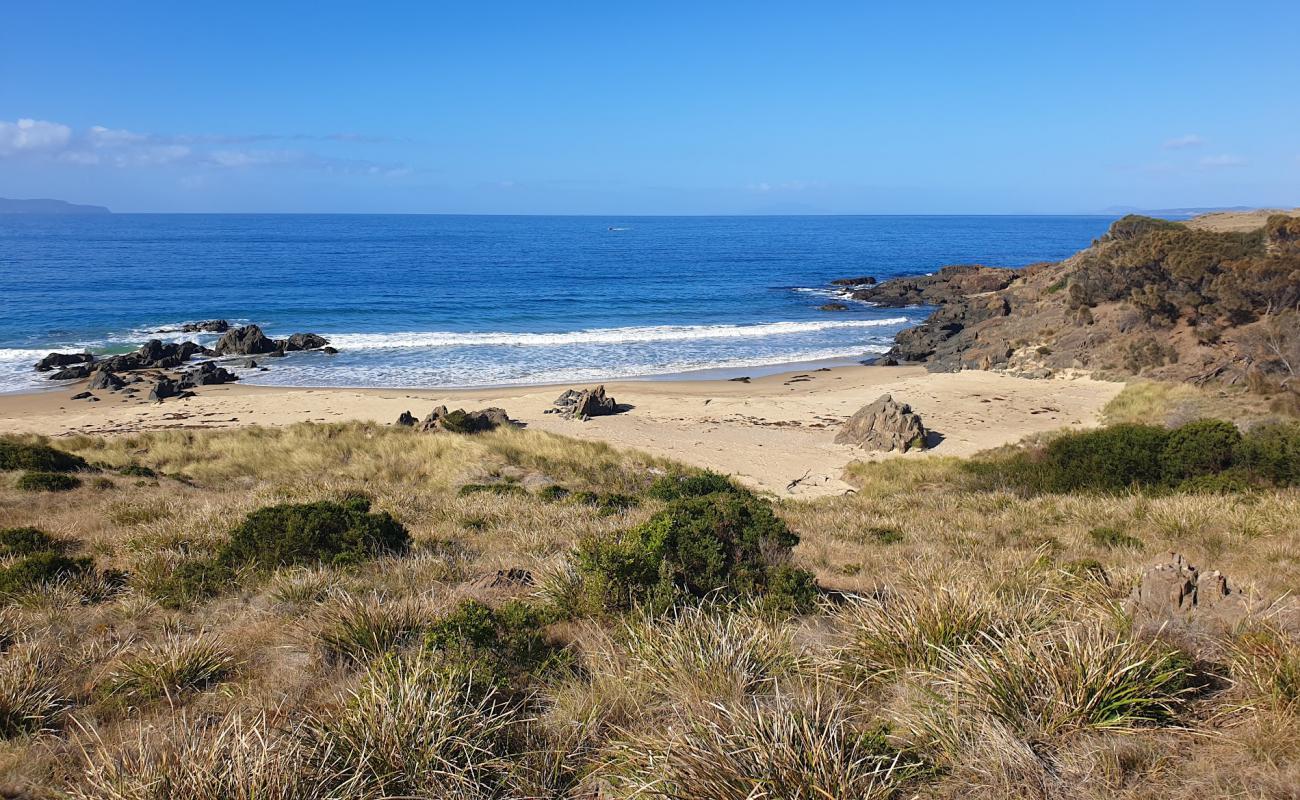 Foto de Cressy Beach con arena fina y guijarros superficie