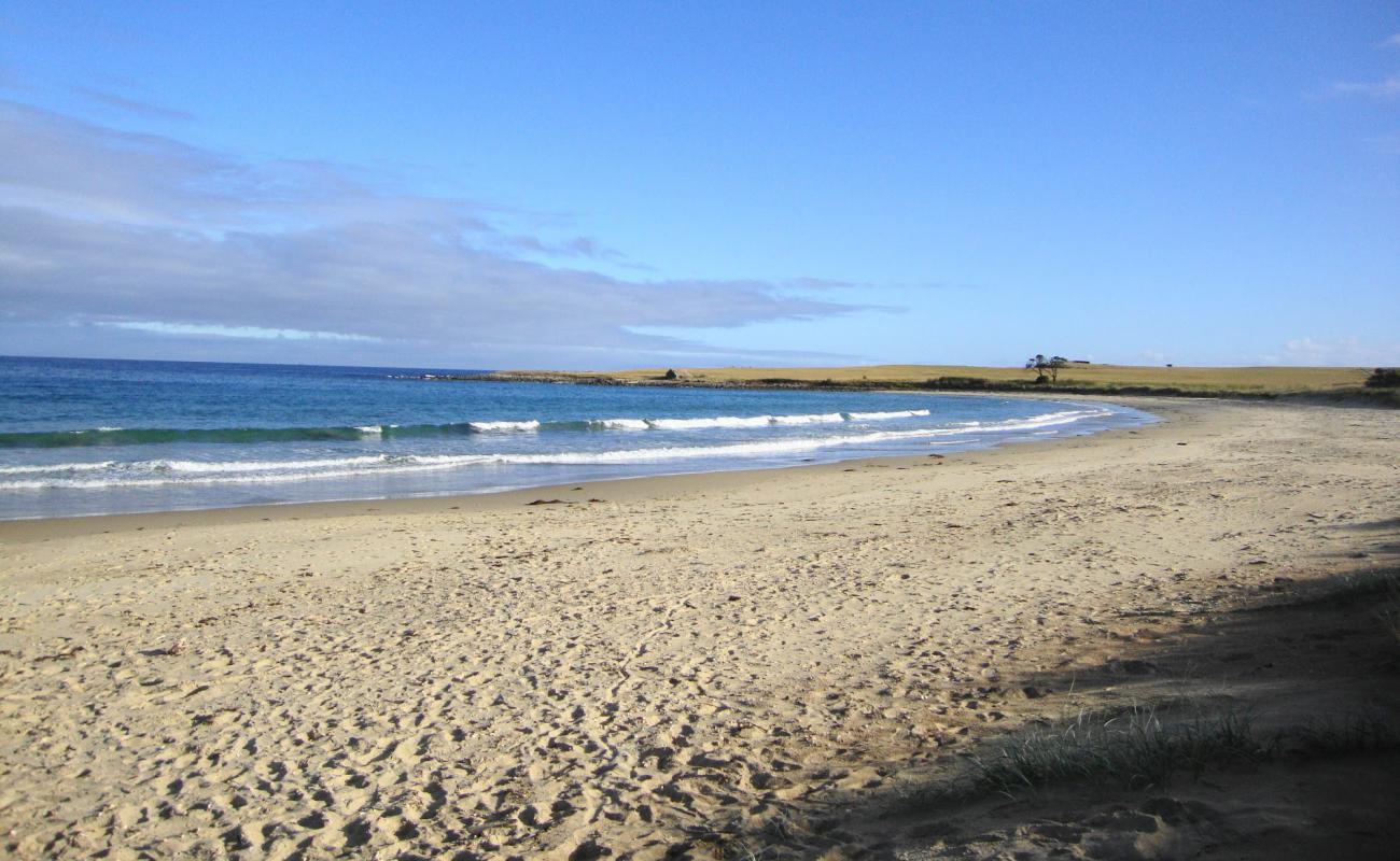 Foto de Kelvedon Beach con arena brillante superficie