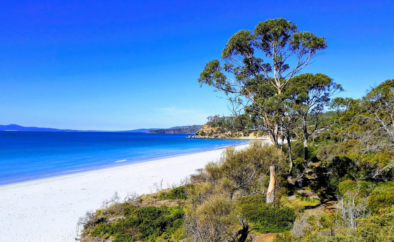 Foto de Stapleton Beach con arena brillante superficie