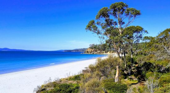 Stapleton Beach