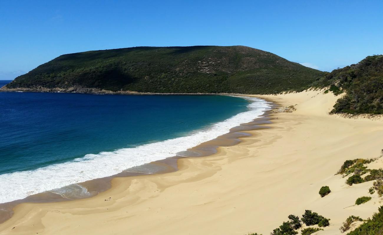 Foto de Cape Pillar Beach con brillante arena fina superficie