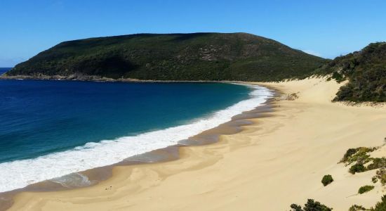 Cape Pillar Beach