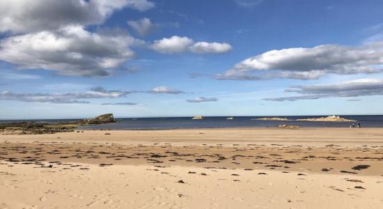 Picnic Point Beach