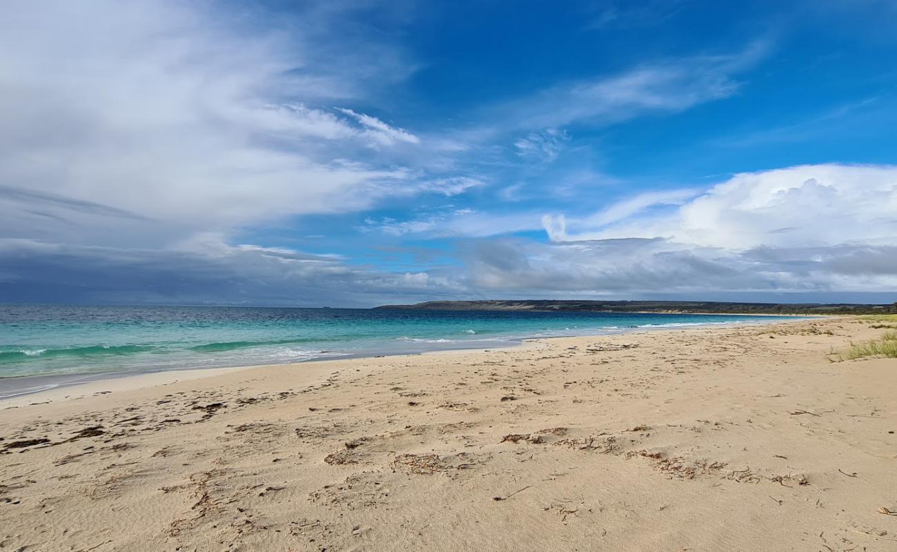 Foto de Antechamber Bay Beach con arena brillante superficie