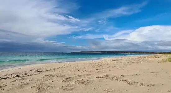 Antechamber Bay Beach