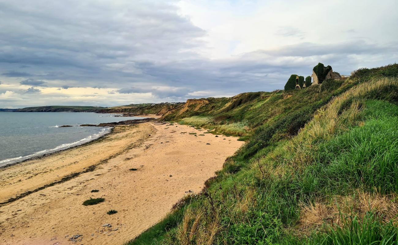 Foto de Boyce's Bay Beach con arena brillante superficie