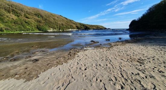 Stradbally Cove Beach