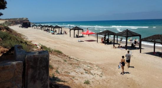 Olga beach