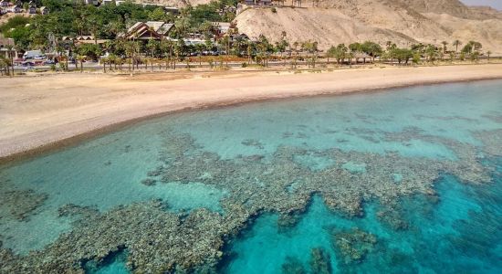 Coral Beach