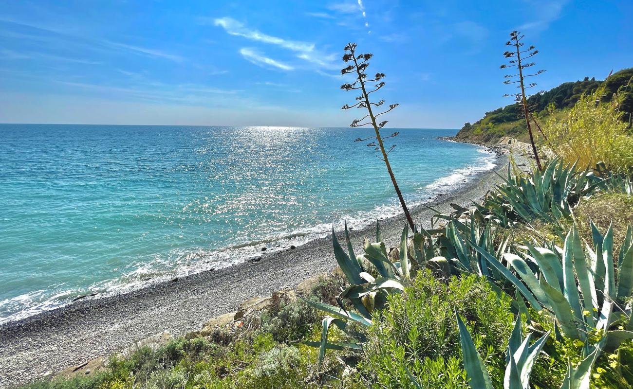 Foto de Arene dog beach con guijarro gris superficie