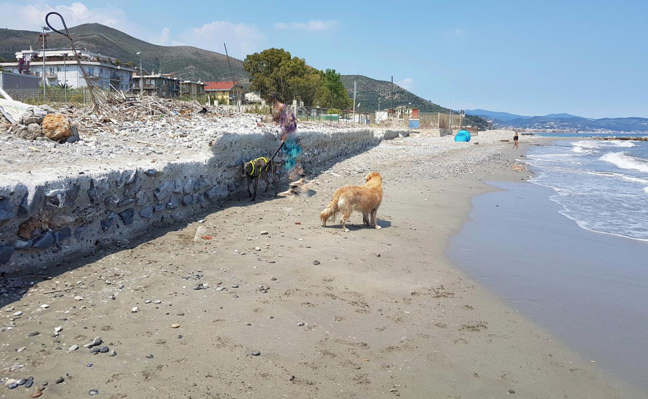 Foto de Ceriale dog beach con arena/guijarros negro superficie