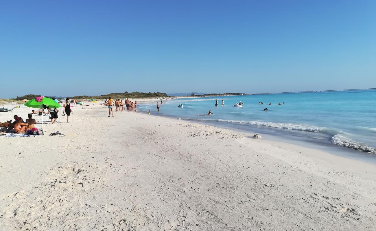 Foto de Rosignano Solvay spiaggia bianche con brillante arena fina superficie