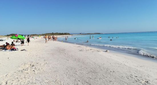 Rosignano Solvay spiaggia bianche