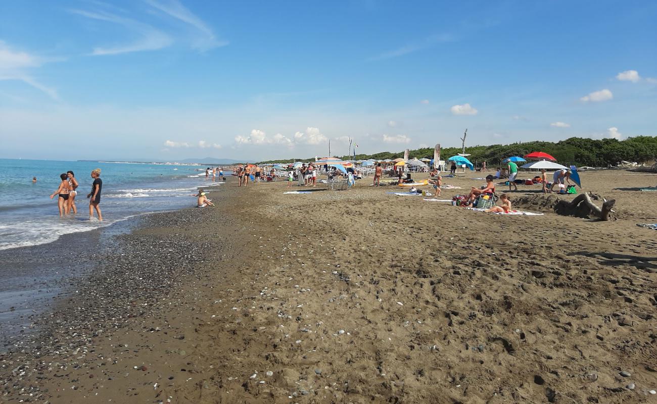 Foto de Spiaggia di Marina di Bibbona con arena oscura superficie