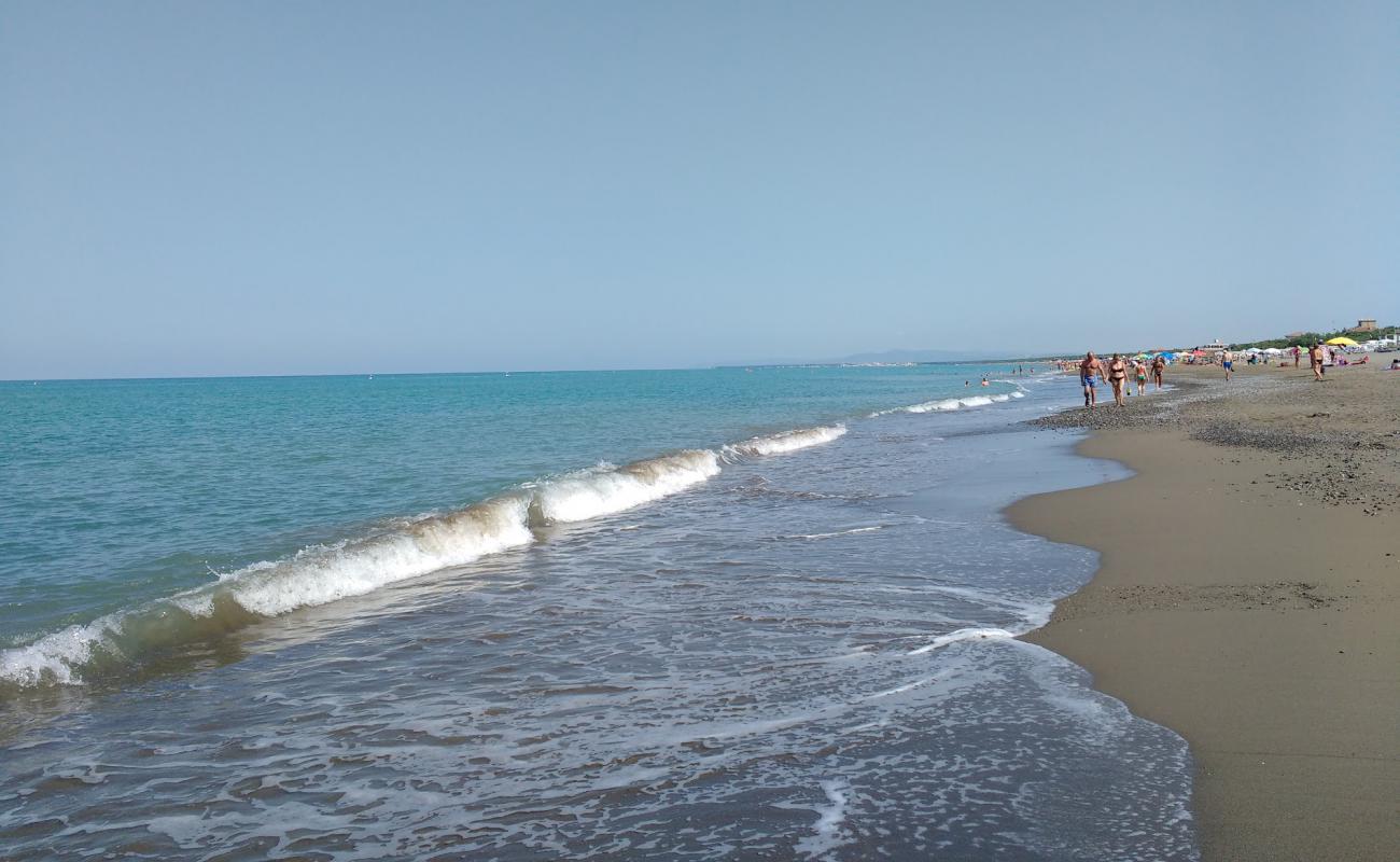 Foto de Marina di Bibbona II con arena oscura superficie