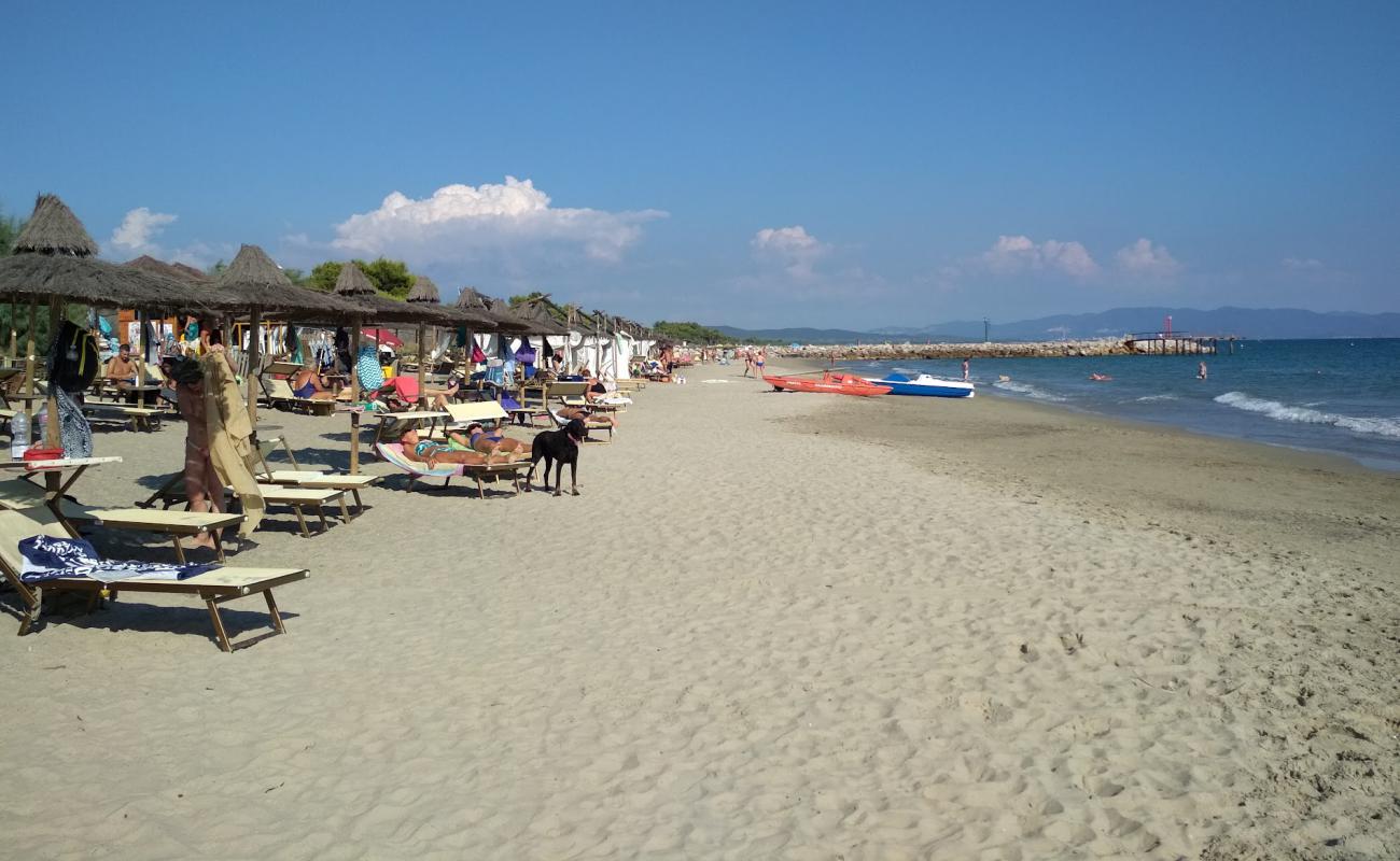 Foto de Carbonifera dog beach con arena oscura superficie