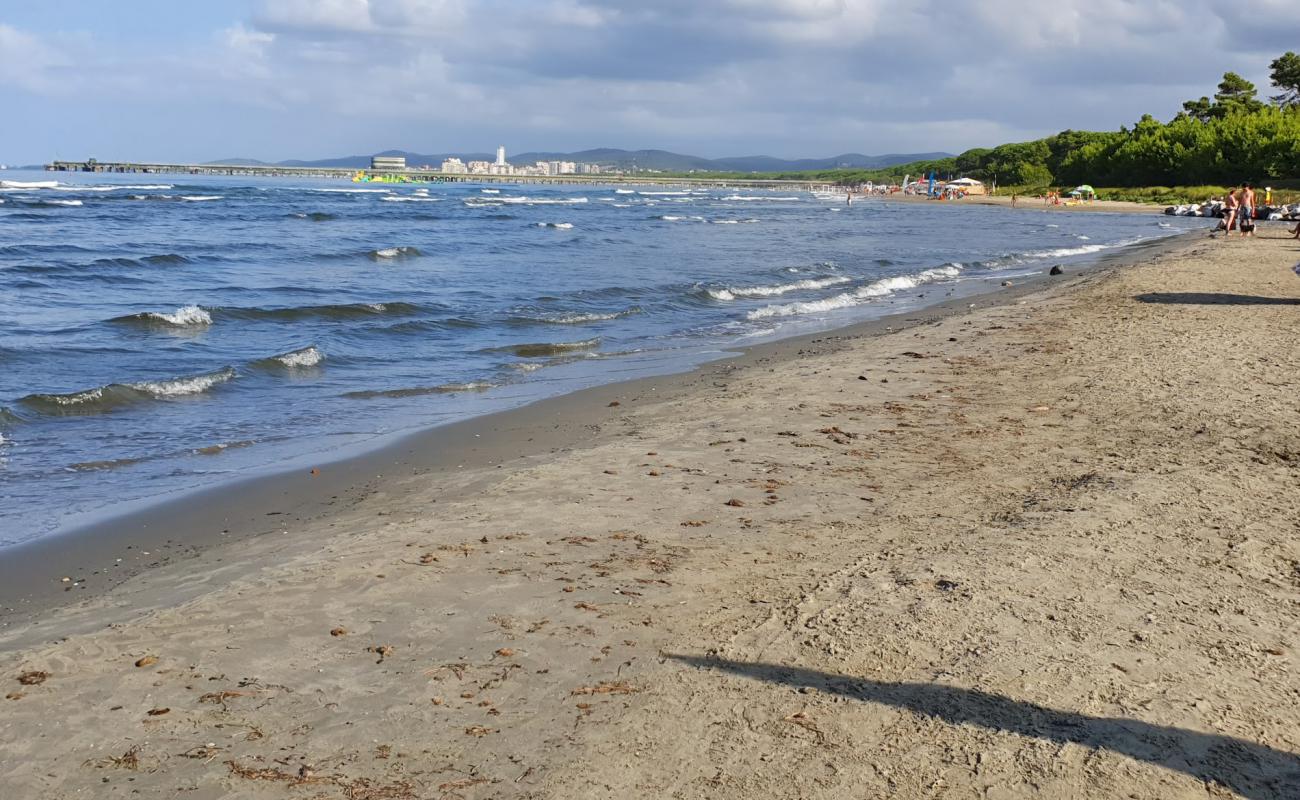 Foto de Puntone di Scarlino con arena oscura superficie