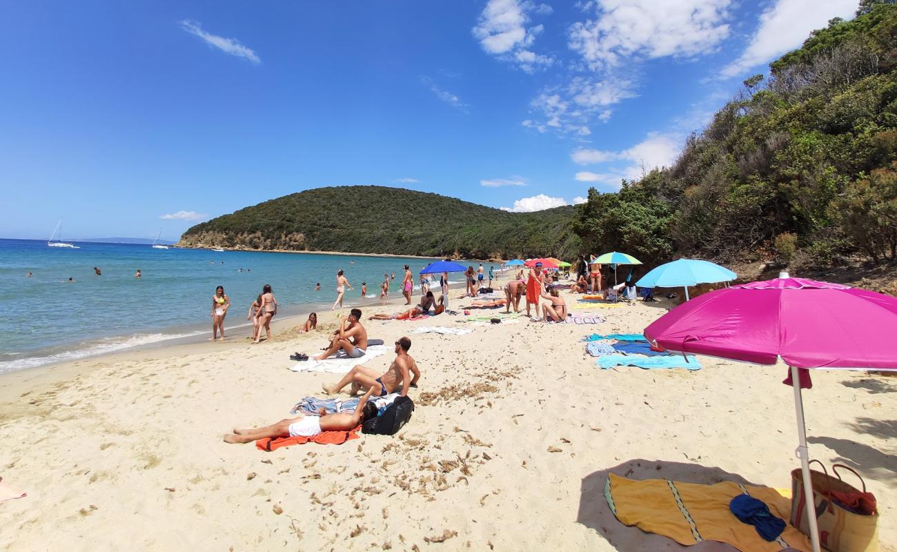 Foto de Cala Violina con arena oscura superficie