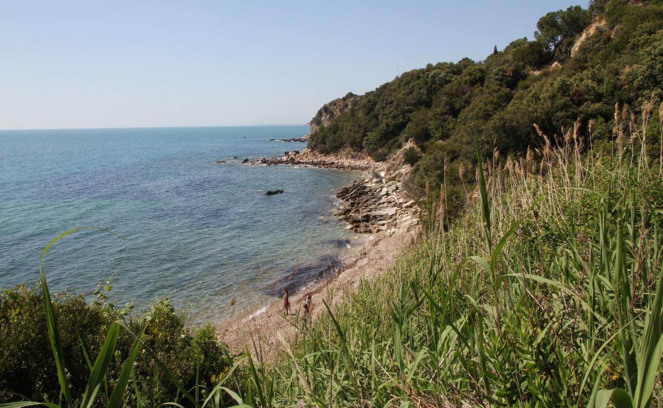 Foto de Cala delle Cannelle con piedra superficie