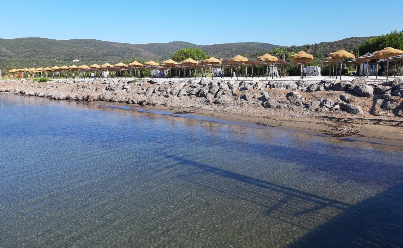 Foto de Talamone Camping Beach con arena/piedras marrón superficie