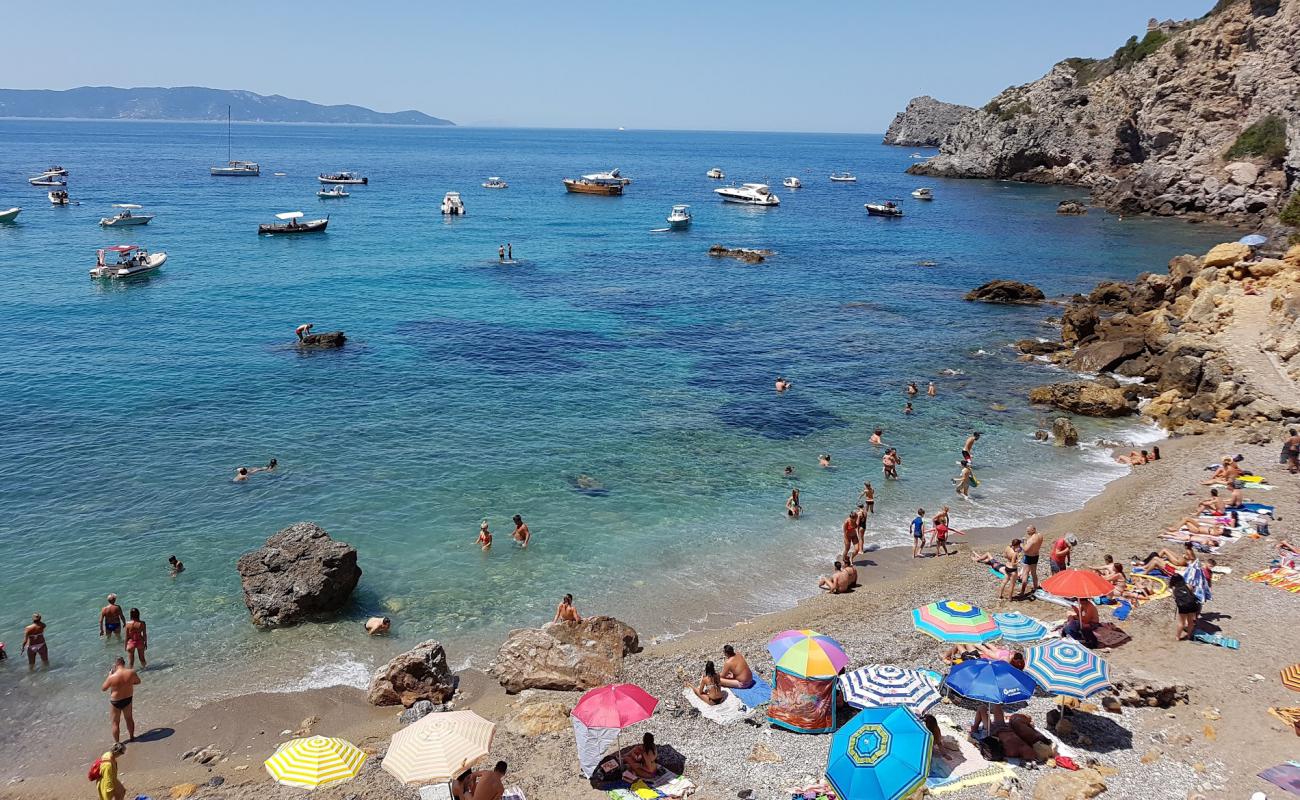 Foto de Cala del Gesso con guijarro oscuro superficie