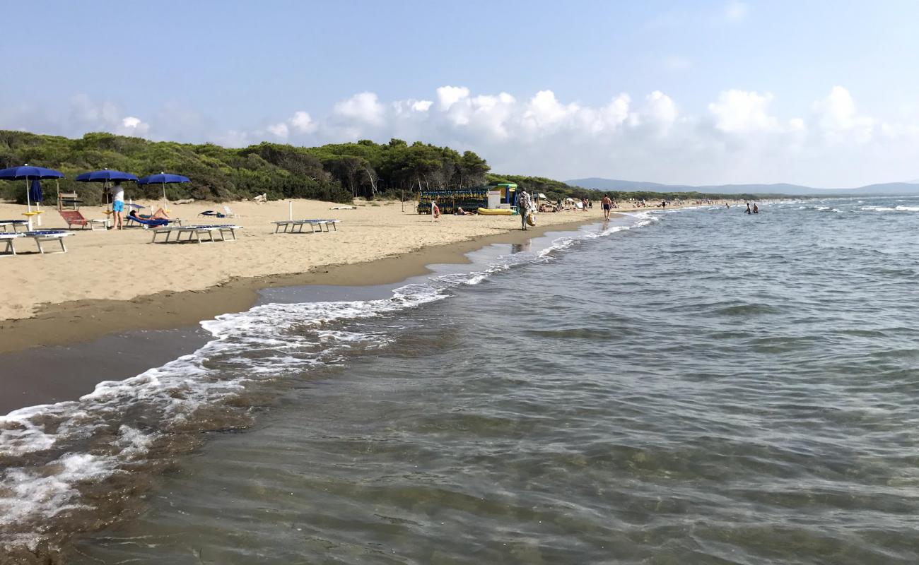 Foto de Spiaggia della Feniglia con arena oscura superficie