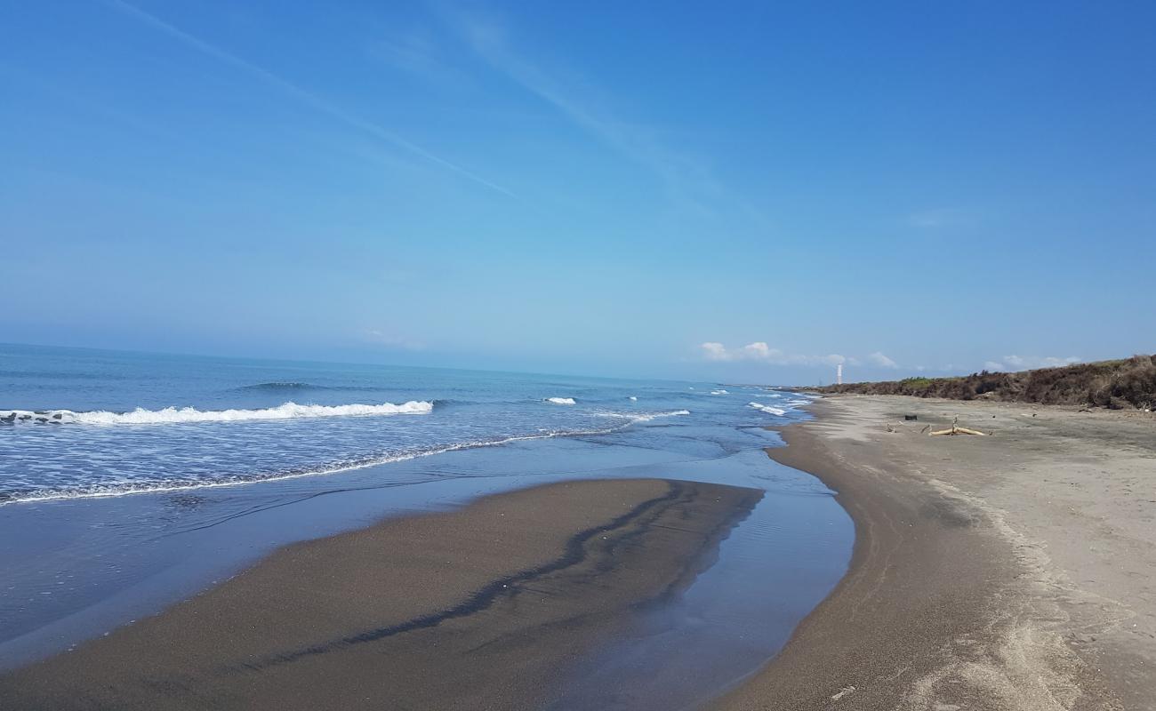 Foto de Montalto Marina beach II con arena oscura superficie