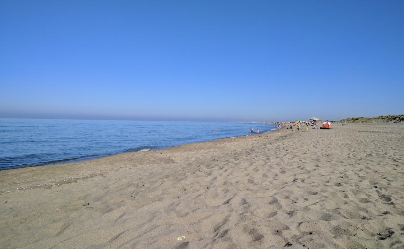 Foto de Castel Porziano beach con arena oscura superficie