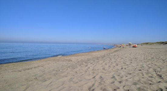 Castel Porziano beach