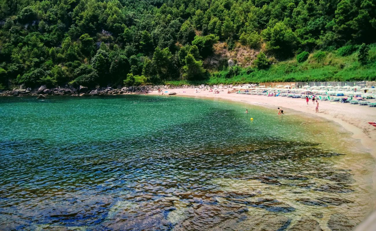 Foto de Spiaggia dei Sassolini con guijarro fino oscuro superficie